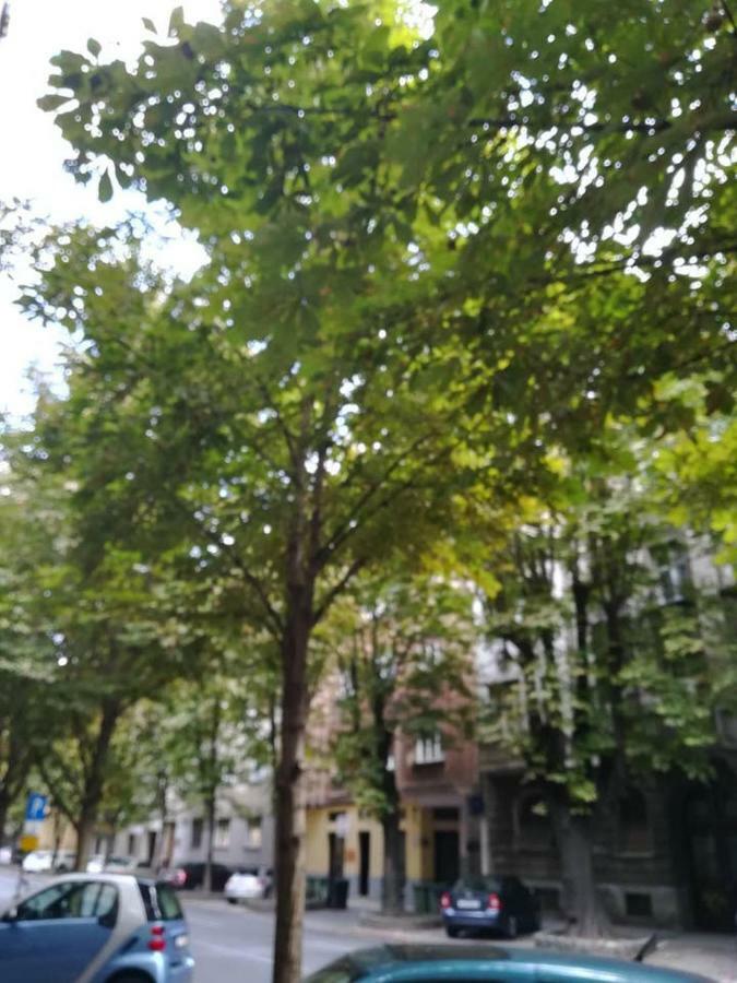 Dreno Apartman Záhřeb Exteriér fotografie